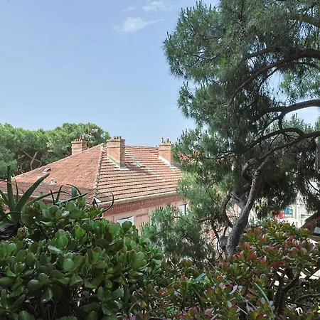 Apartment Le 293
